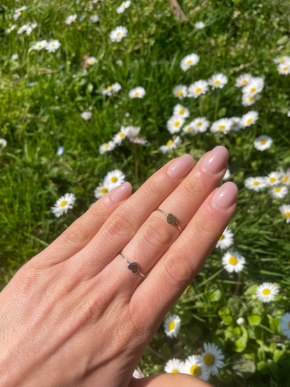 ANELLO EMI